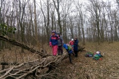 IMG_20220304_094653