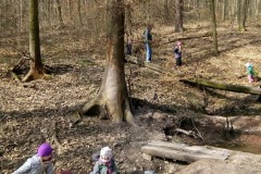 IMG_20220315_104053