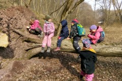 IMG_20220318_100939