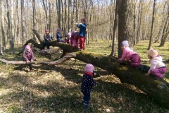 IMG_20220412_103043