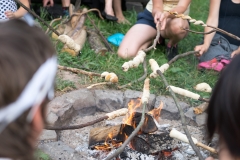 2019-06-17_Svatojánská_Dobiasova (113)