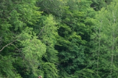 2019-06-17_Svatojánská_Dobiasova (128)