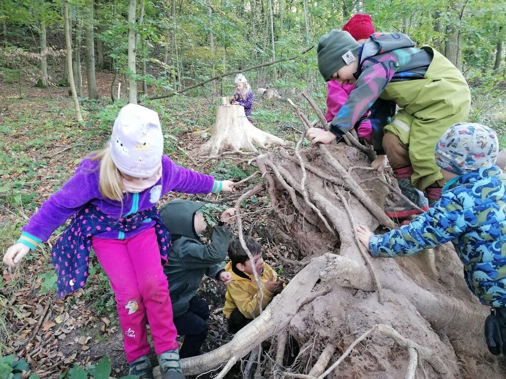 Říjen 2025 v Lesince